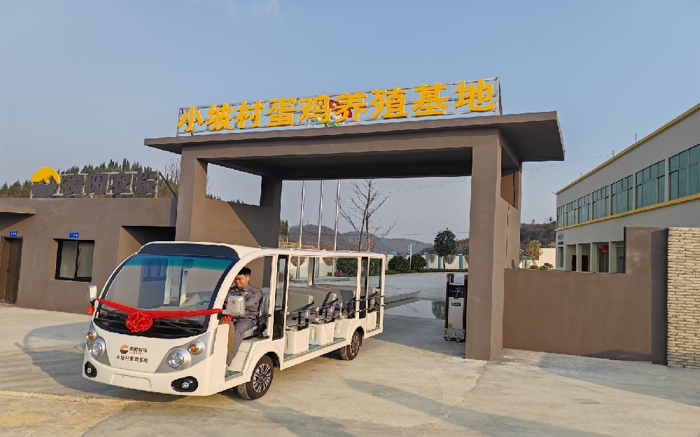 小破村蛋养殖基地项目